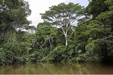 《博德之门3》用248名演员动作捕捉 让NPC栩栩如生